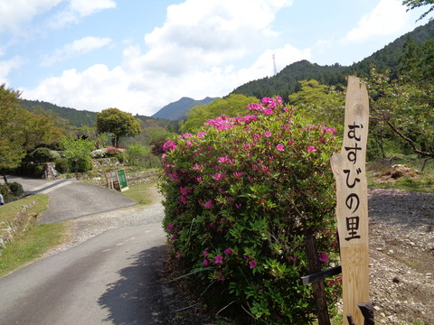 当時のメディア報道・掲載写真